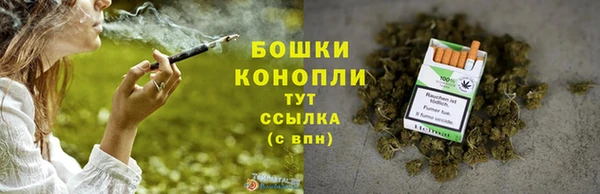 шишки Бугульма