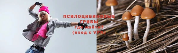 шишки Бугульма