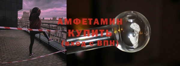 гидра Богородицк