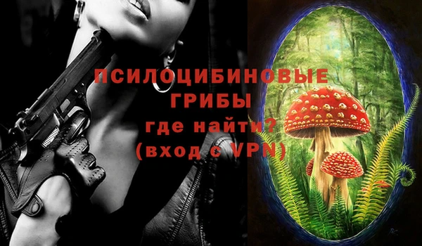 шишки Бугульма
