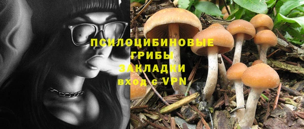 бутират Бородино