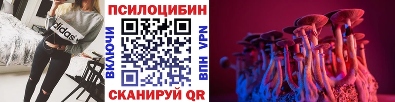 Галлюциногенные грибы мухоморы кракен вход Владивосток